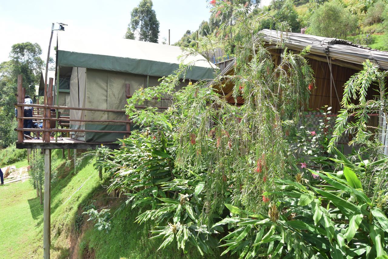 Hawk'S Eye Lodge Bunyonyi Kabale Exteriör bild
